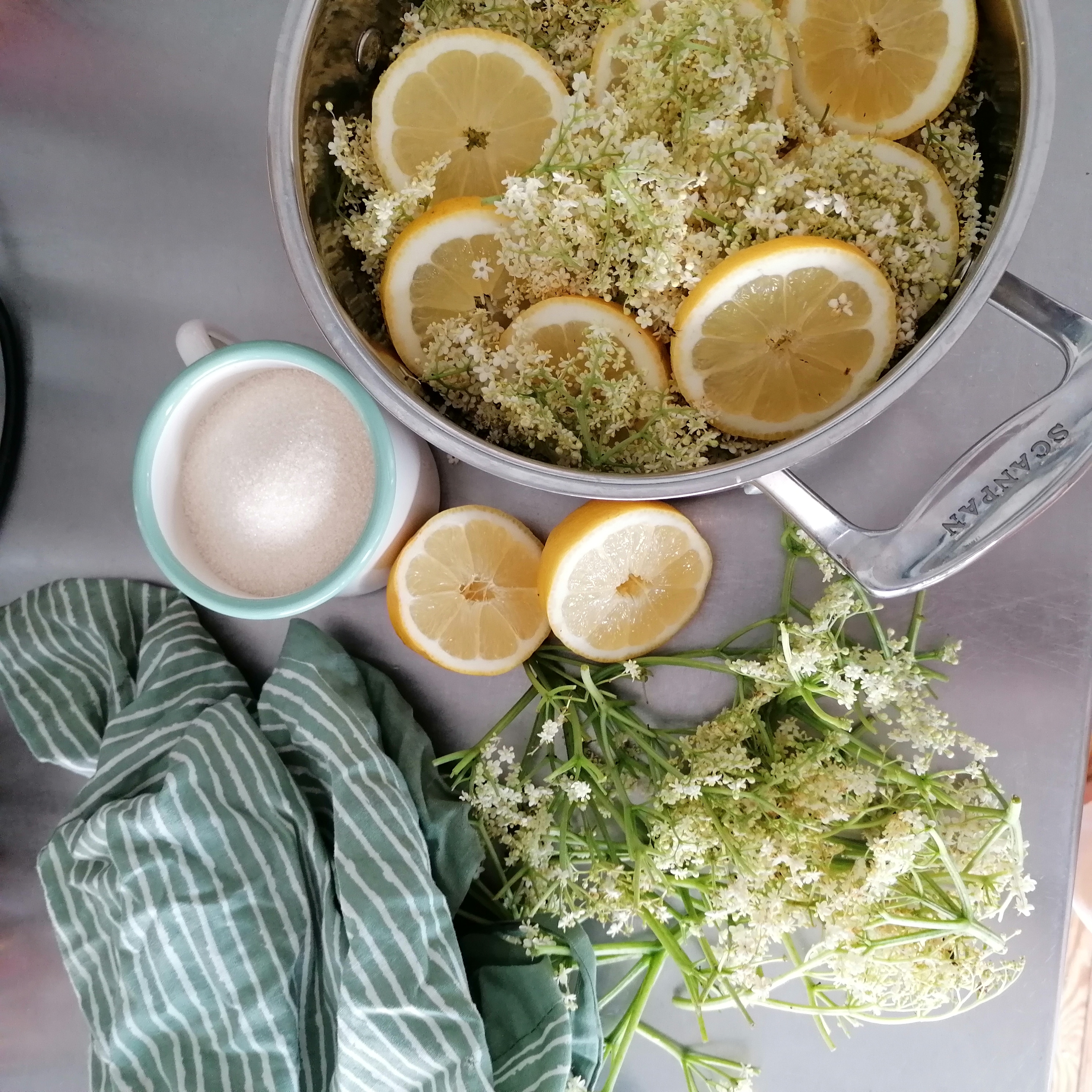 Hyldeblomstsaft opskrift